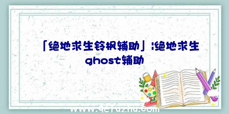 「绝地求生铃枫辅助」|绝地求生ghost辅助